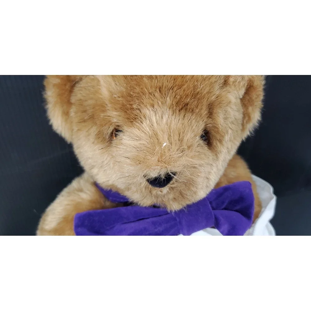 The Vermont Teddy Bear Company Jointed Bear with Ouchy‎ Paw
